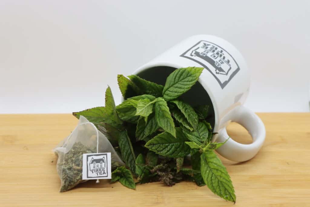 Tilley peppermint and nettle tea from Tiree Tea