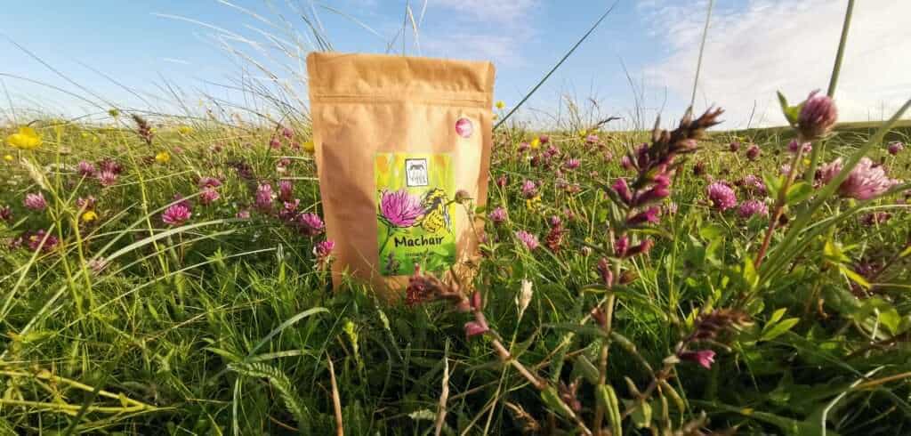 An image of machair tea surrounded by flowers to illustrate machair pronounciation