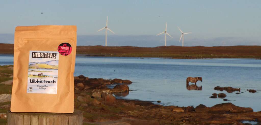 Uist and the Uist tea with a pny in the background